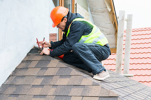 Best Roof Gutter Cleaning  in Conning Towers Nautilus Park, CT